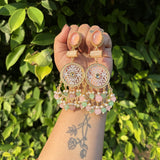 Multicolor Anushka Earrings